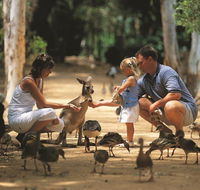 Billabong Sanctuary - Tourism Caloundra