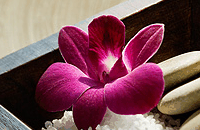Blush Beauty Saloons - Tourism Caloundra 4