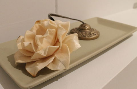 The Boardwalk Spa - Tourism Caloundra 5