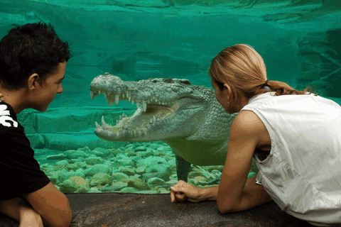 Cairns Wildlife Dome - Tourism Caloundra 1