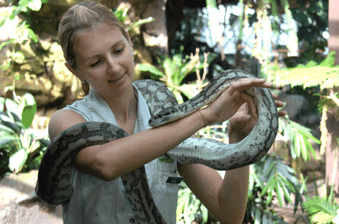 Cairns Wildlife Dome - Tourism Caloundra 2