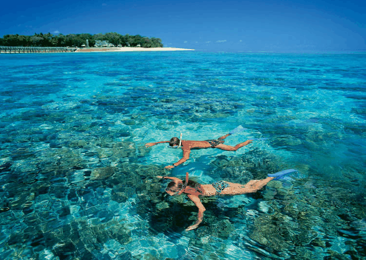 Big Cat Green Island Reef Cruises - Tourism Caloundra 4