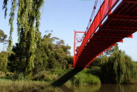 Caribbean Gardens - Tourism Caloundra 4