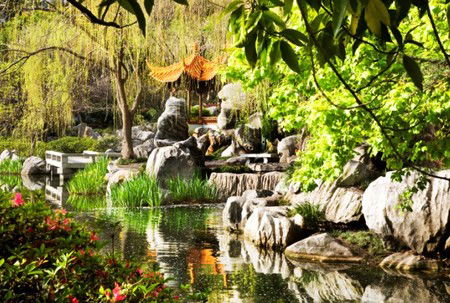 Chinese Garden Of Friendship - Tourism Caloundra 3
