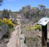 Christmas Rock Walk - Tourism Caloundra