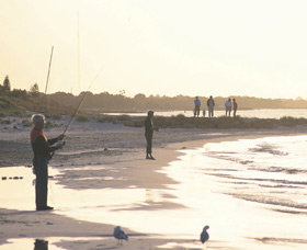 Busselton Beachfront - Tourism Caloundra 0