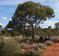Karlkurla Bushland Park - Tourism Caloundra