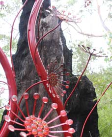 Meerup WA Tourism Caloundra