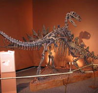 Denmark Dinosaur World - Tourism Caloundra