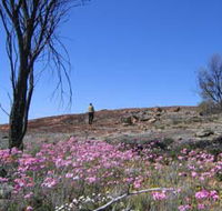 Talgomine Reserve - Tourism Caloundra