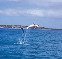 Steep Point - Tourism Caloundra