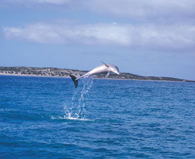 Steep Point - Tourism Caloundra 0