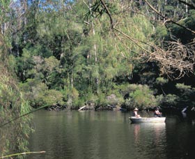 Warren National Park - Tourism Caloundra 0