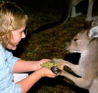 Discovery Bay's Walk on the Wild Side - Tourism Caloundra
