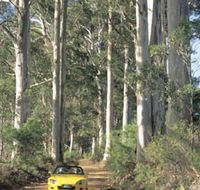 Mount Shadforth Scenic Drive - Tourism Caloundra