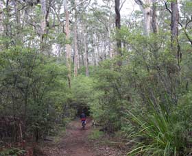Margaret River Rails Trail - Tourism Caloundra 0
