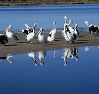 Peel Region Canoe Trails - Tourism Caloundra