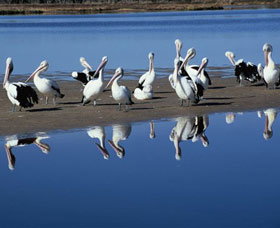 Peel Region Canoe Trails - Tourism Caloundra 0