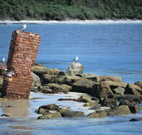Whalers Beach - Tourism Caloundra