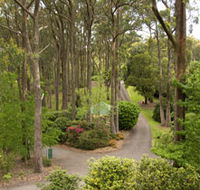 Mount Lofty Botanic Garden - Tourism Caloundra