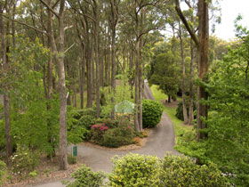 Mount Lofty Botanic Garden - Tourism Caloundra 0