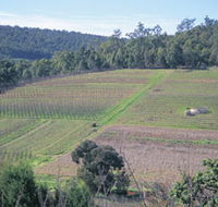 Darling Range - Tourism Caloundra