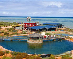 Shark Bay WA Tourism Caloundra