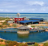 Ocean Park Aquarium - Tourism Caloundra