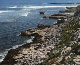 Cape Vlamingh - Tourism Caloundra 0
