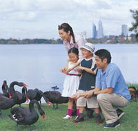 Lake Monger - Tourism Caloundra