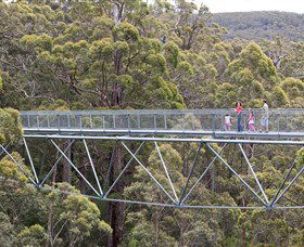 Walpole Wilderness Discovery Centre - Tourism Caloundra 0