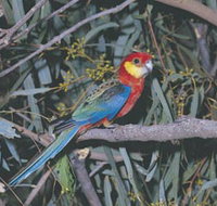 King River - Tourism Caloundra