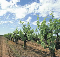 Blackwood Meadery - Tourism Caloundra