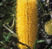 Moore River National Park - Tourism Caloundra