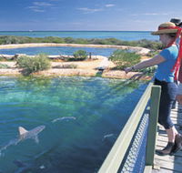 Shark Bay Marine Park - Tourism Caloundra