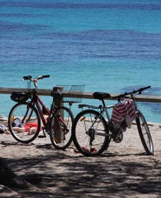 Parker Point Marine Snorkel Trail - Tourism Caloundra 0