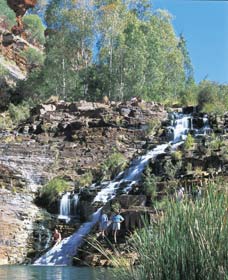 Paraburdoo WA Tourism Caloundra