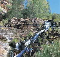 Fortescue Falls - Tourism Caloundra