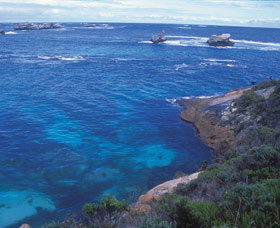 Cosy Corner - Tourism Caloundra 0