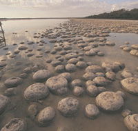 Yalgorup National Park - Tourism Caloundra