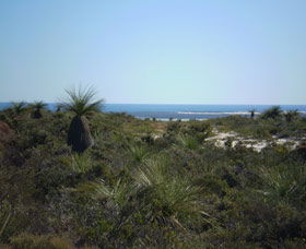 Lesueur National Park - Tourism Caloundra 0