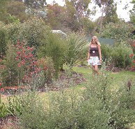 The Mythic Mazes - Tourism Caloundra