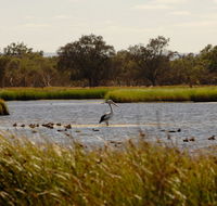 Anytime Adventures in Mandurah  the Peel Region - Tourism Caloundra
