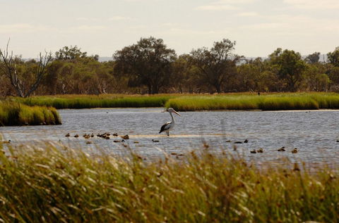 Anytime Adventures In Mandurah & The Peel Region - Tourism Caloundra 0