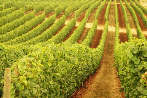 Happs Wines - Tourism Caloundra 0