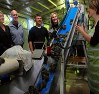 Eyre Peninsula's Seafood Trail - Tourism Caloundra