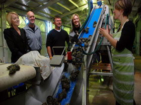 Eyre Peninsula's Seafood Trail - Tourism Caloundra 0