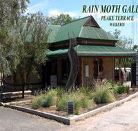Rain Moth Gallery - Tourism Caloundra