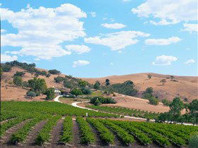 Bethany Wines - Tourism Caloundra 0