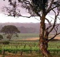 Yangarra Estate Vineyard - Tourism Caloundra